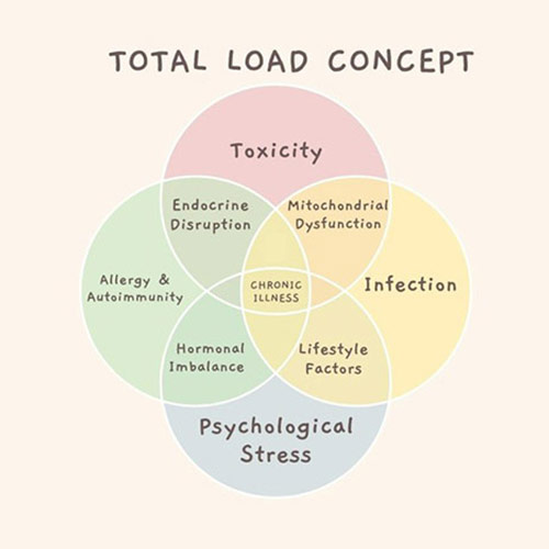 About The Center for Occupational and Environmental Medicine in North Charleston, SC About The Center for Occupational and Environmental Medicine in North Charleston, SC